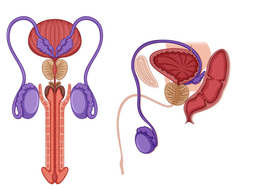 prostatitis pri moških